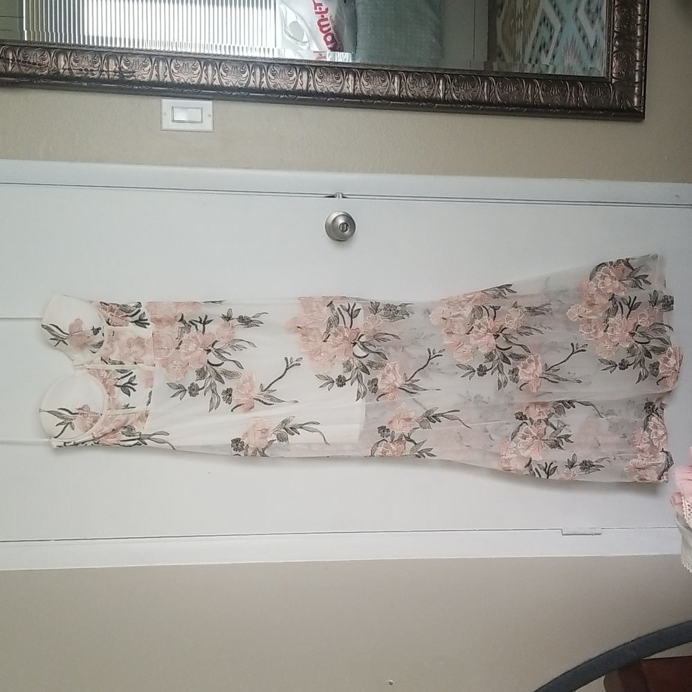 Fashion Nova Maxi dress